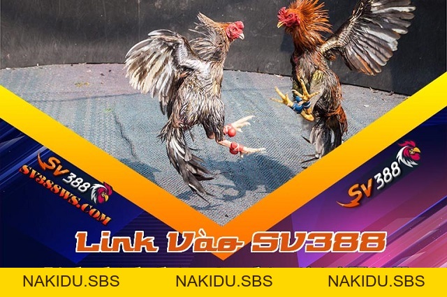 Giới thiệu Sbobet - Sbobet - Nakidu